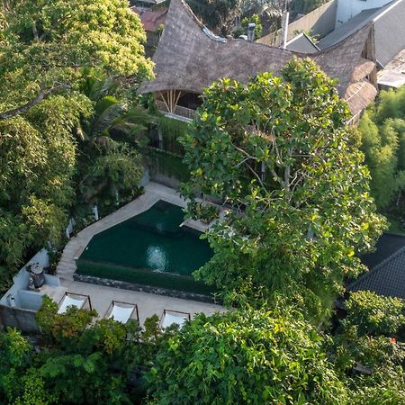 Dinara Ubud Luaran gambar
